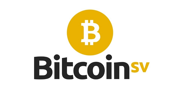 What is BCH and BSV?